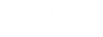 The Singular The Singular